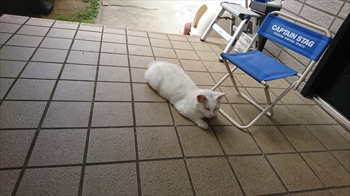 12日・かめ公園に遠足！